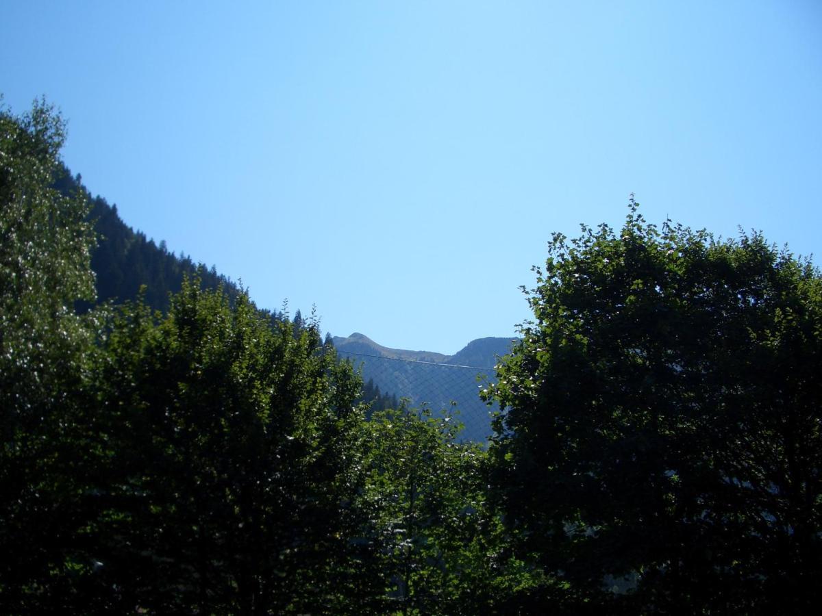 Apartament Meckyheim Mayrhofen Zewnętrze zdjęcie