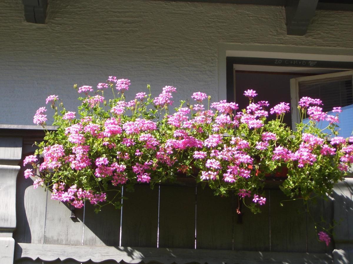 Apartament Meckyheim Mayrhofen Zewnętrze zdjęcie