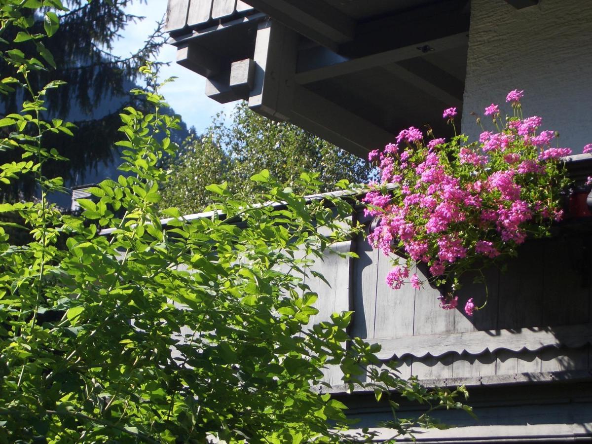 Apartament Meckyheim Mayrhofen Zewnętrze zdjęcie